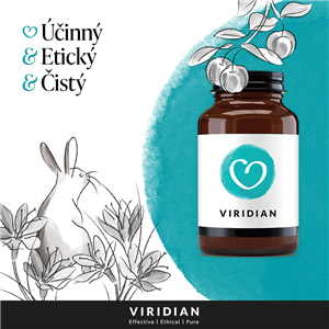 Ginkgo Biloba 60 kapslí