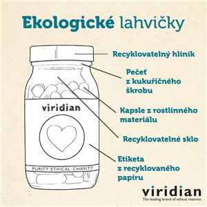 Icelandic Angelica 30 kapslí Organic (Andělika lékařská Bio)