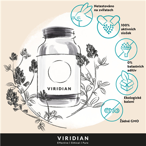 Elderberry Extract + Vitamin C 100ml Organic