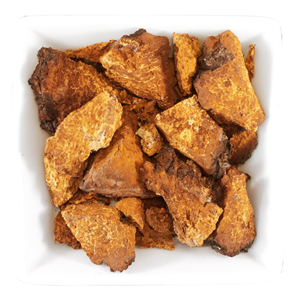 Chaga Extract 50 ml (Extrakt z houby Chaga)