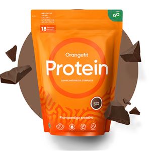 Protein 450g vanilka