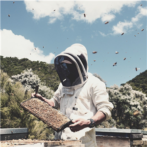 Manuka Honey 85+ MGO 340g