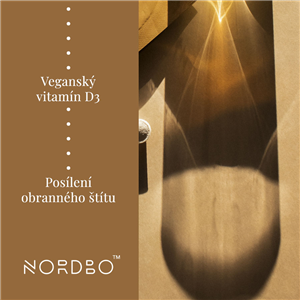 Vitamin D3, C & Zink Kids 53 g