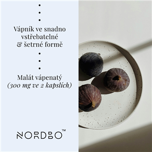 Pure Calcium 90 kapslí