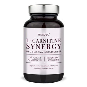 L-Carnitine Synergy 90 kapslí
