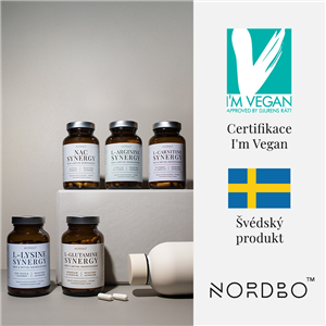 L-Carnitine Synergy 90 kapslí