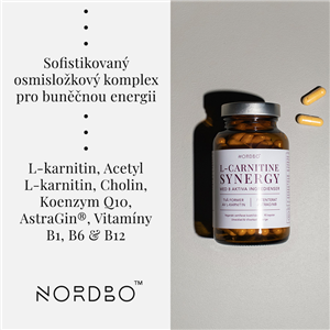 L-Carnitine Synergy 90 kapslí