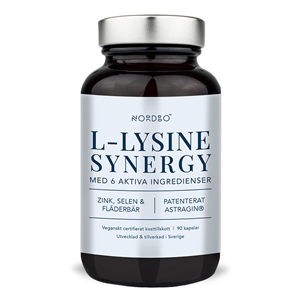 L-Lysine Synergy 90 kapslí