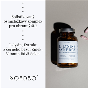 L-Lysine Synergy 90 kapslí