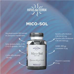 Mico-Sol Bio 70 kapslí (Žampion brazilský)
