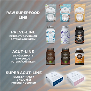 ReishiAntiOx 100g Bio