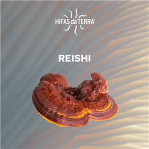 ReishiAntiOx 100g Bio