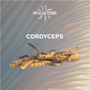 CordycepsVital 100g