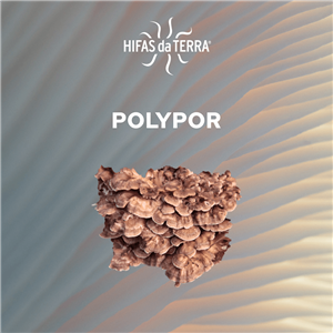 Mico-Polypor 70 kapslí Bio