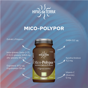 Mico-Polypor 70 kapslí Bio