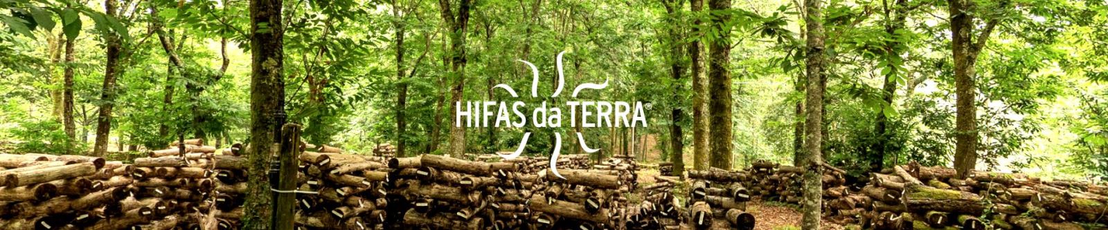 Suroviny pro výrobu doplňků Hifas da Terra nenakupuje od jiných producentů,  ale získává z hub pěstovaných na vlastní eko farmě.