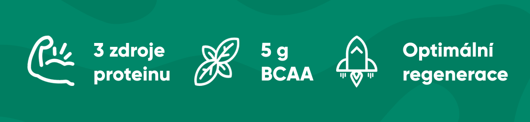 Optimální regenerace s 3 zdroji proteinu a 5g BCAA.