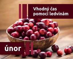 Únor - vhodný čas pomoci ledvinám