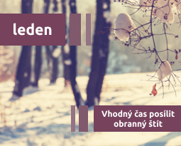 Leden - vhodný čas posílit obranný štít