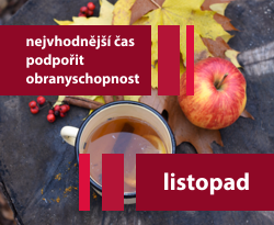 Listopad - nejvhodnější čas pomoci obranyschopnosti